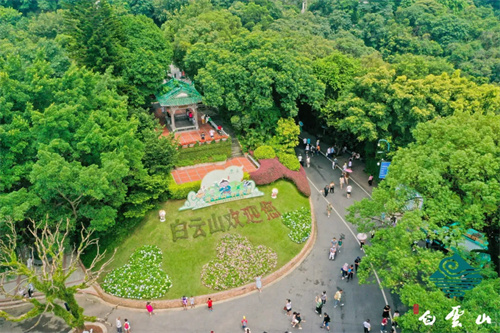 千年古诞的现代传承与创新，锐丰文旅创意打造郑仙文化旅游周 