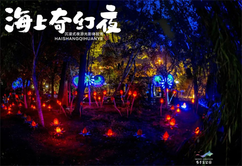 探索光影奇迹，沉浸视听盛宴 —— 易科助力两大夜游秀演绽放璀璨光彩