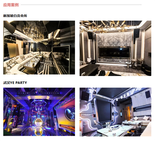 2024年声光视讯行业十佳海外品牌