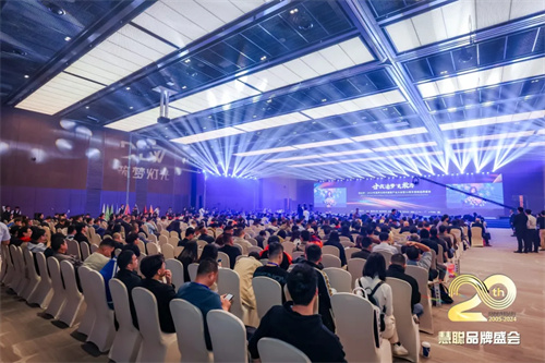2024年十佳创新品牌，智慧赋能，开拓无限！ 
