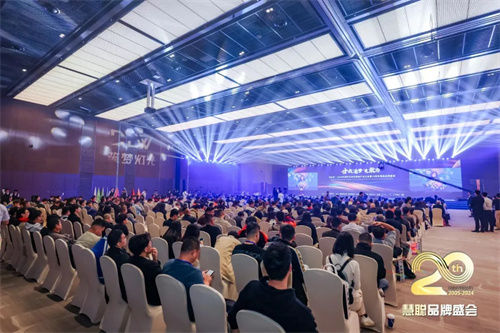2024年十佳配件配套品牌，配适精研，卓越华风！