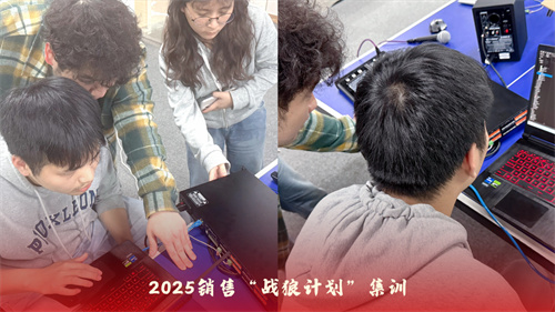 声菲特 | 2024年度总结大会暨2025销售“战狼计划”集训圆满收官！