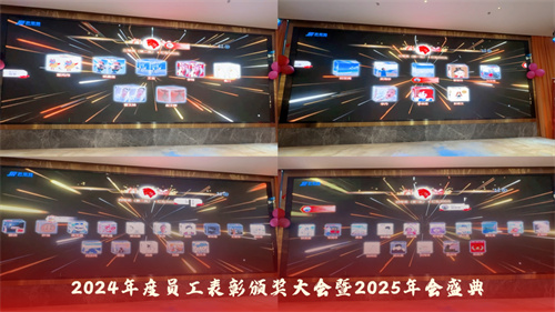 声菲特 | 2024年度员工表彰颁奖大会暨2025年会盛典圆满举行！