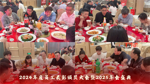 声菲特 | 2024年度员工表彰颁奖大会暨2025年会盛典圆满举行！
