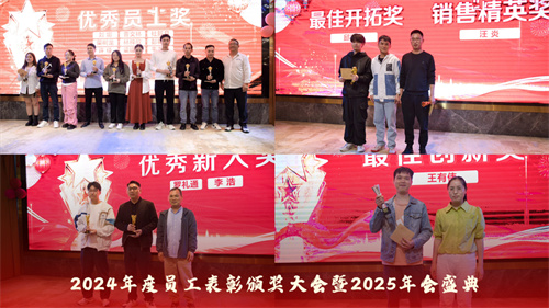 声菲特 | 2024年度员工表彰颁奖大会暨2025年会盛典圆满举行！