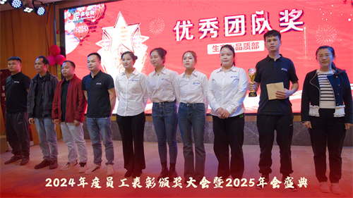 声菲特 | 2024年度员工表彰颁奖大会暨2025年会盛典圆满举行！