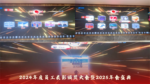 声菲特 | 2024年度员工表彰颁奖大会暨2025年会盛典圆满举行！