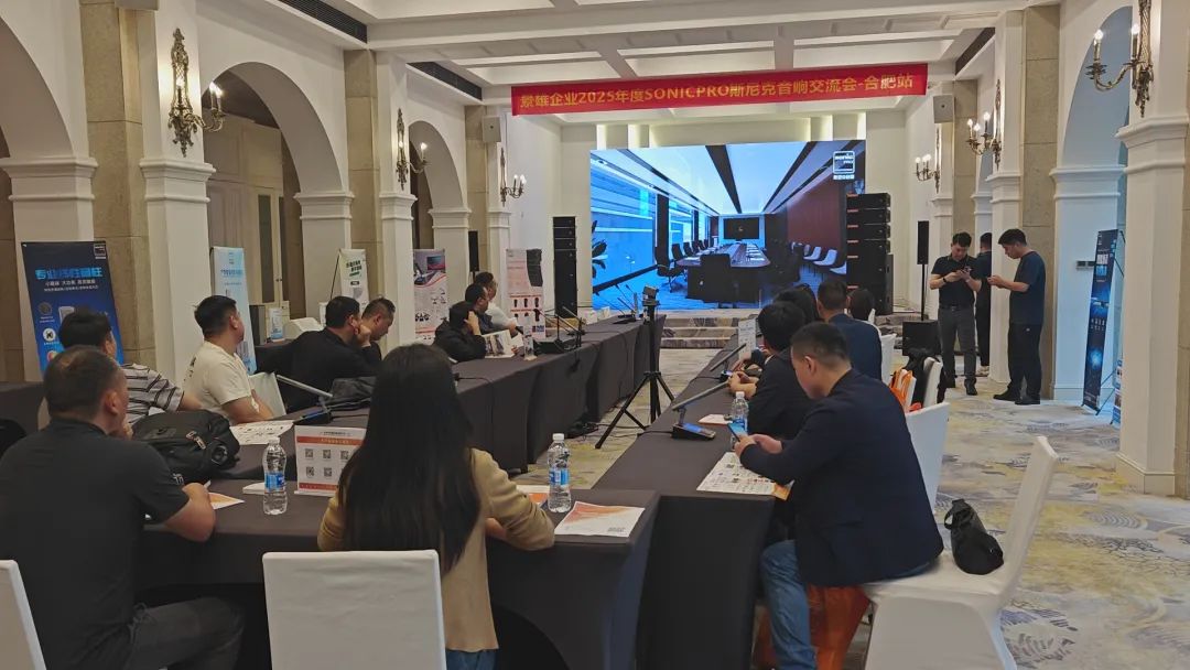 圆满落幕|2025斯尼克音响交流会-合肥站